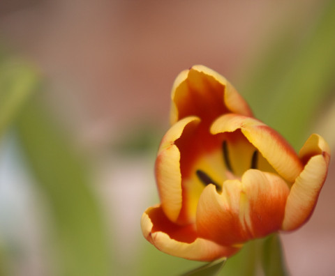 2010-02-15 16-12-19